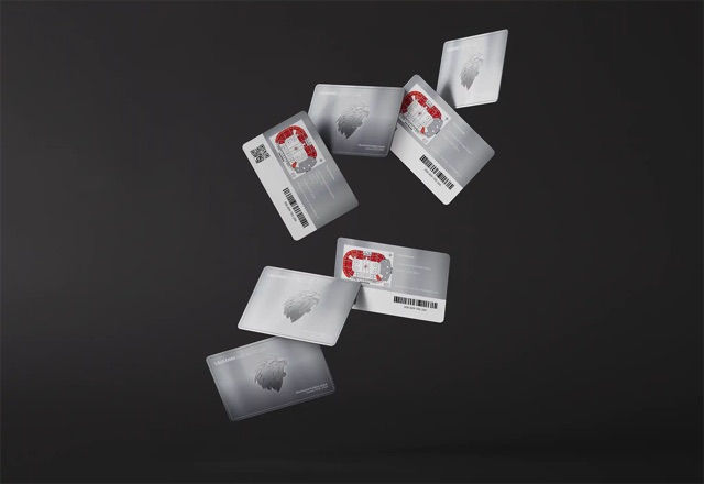 Cartes d'abonnement du Lausanne HC